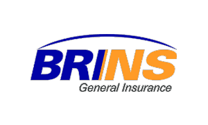 BRINS General Insurance